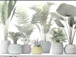 palm collectie 3D Model