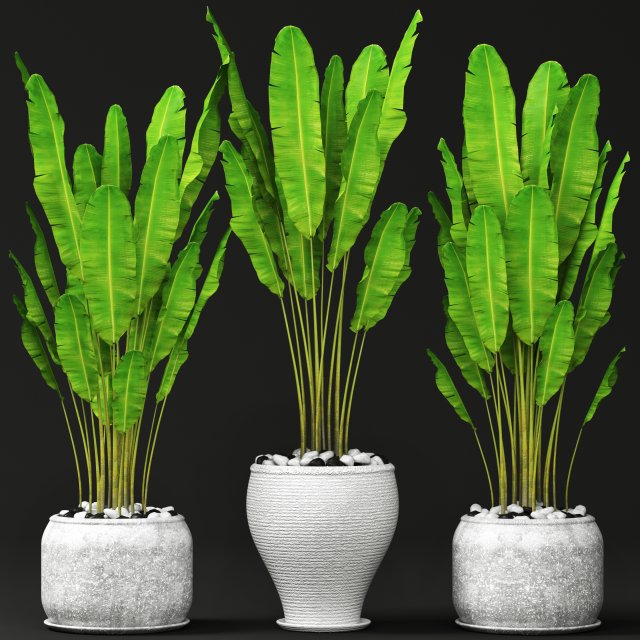 collection of banana 3D मॉडल .c4d .max .obj .3ds .fbx .stl .blend 