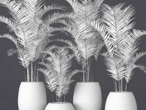 palm collection 3D Model