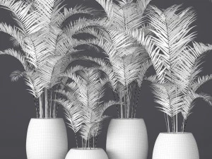 palm collection 3D Model