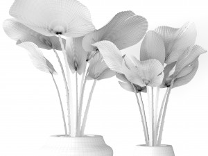palm collection 3D-Modell
