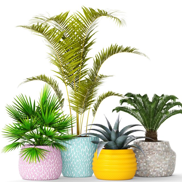 plants collection 3D 모델 .c4d .max .obj .3ds .fbx .stl .blend 