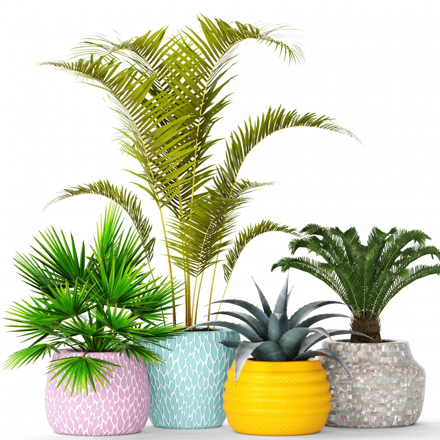plants collection 3D Model .c4d .max .obj .3ds .fbx .stl .blend 