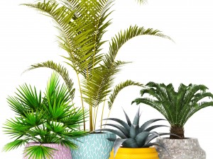 plants collection 3D Model