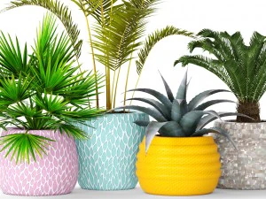 plants collection 3D Model