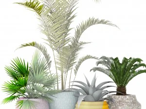 plants collection 3D Model