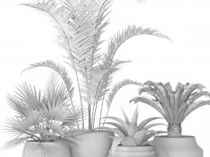 plants collection 3D Model