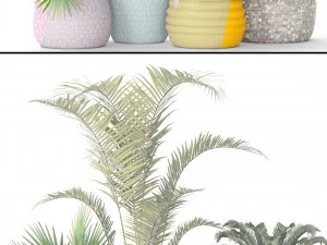 plants collection 3D Model