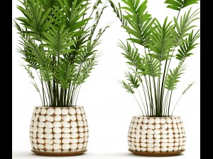 palm collection 3D 模型