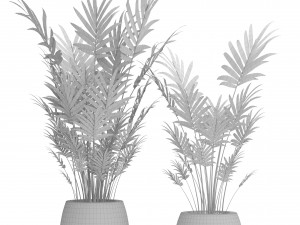 palm collection 3D 模型