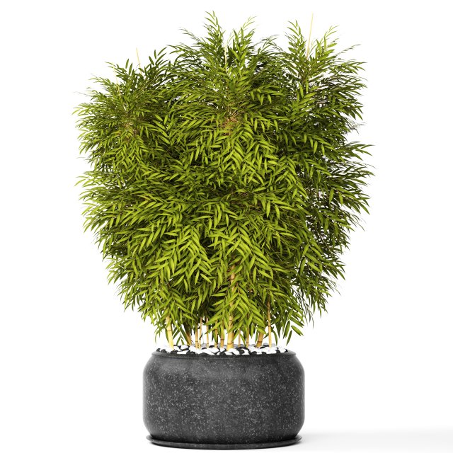 bamboo 3D मॉडल .c4d .max .obj .3ds .fbx .stl .blend 