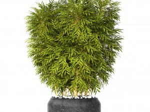 bamb&ugrave; Modello 3D