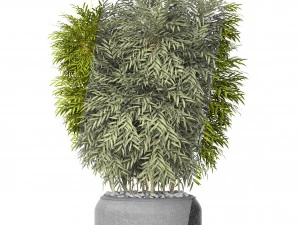 bamboo 3D Model