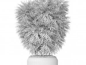 bamboo 3D Model