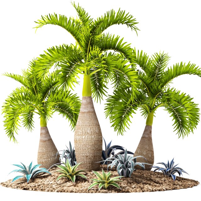 palm collection 3D 模型 .c4d .max .obj .3ds .fbx .stl .blend 