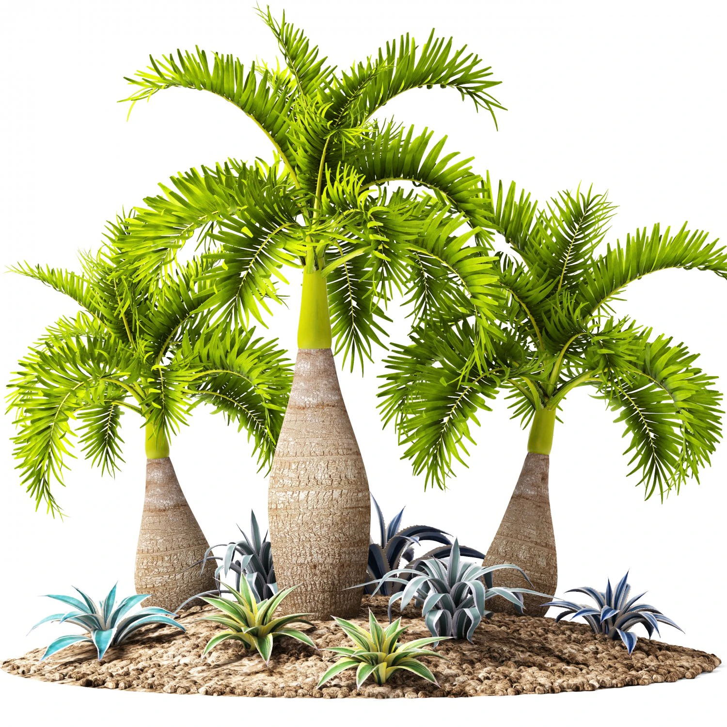 palm collection 3D Model .c4d .max .obj .3ds .fbx .stl .blend 