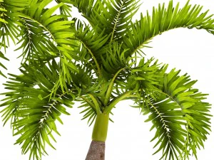 palm collection 3D Model