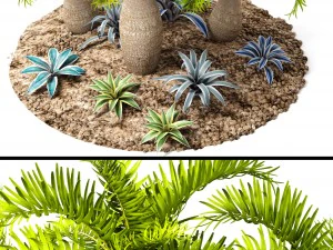palm collection 3D Model