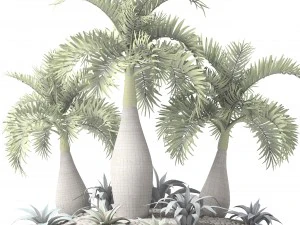 palm collection 3D Model
