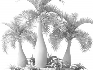 palm collection 3D 模型