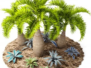 palm collection 3D Model