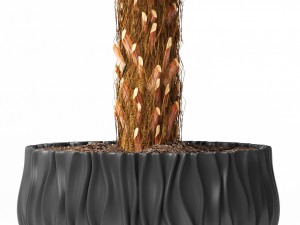 palm 3D Model
