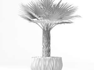 palm 3D Model
