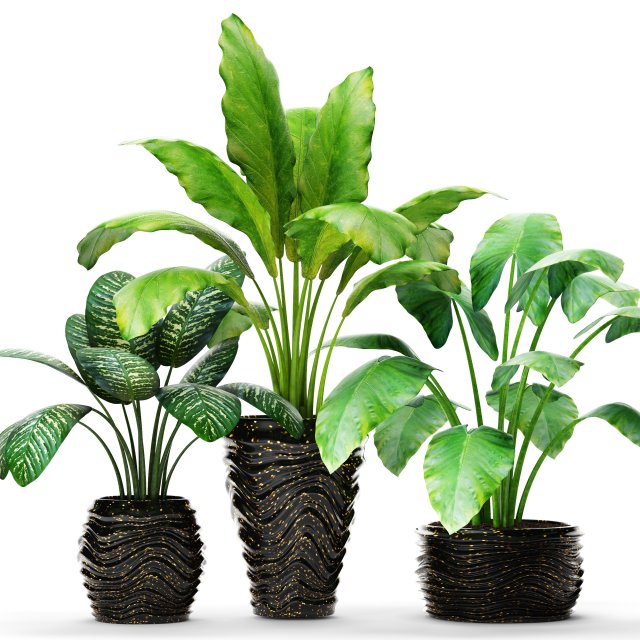 collection of plants in pots 3D-Modell .c4d .max .obj .3ds .fbx .stl .blend 