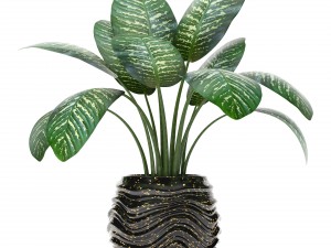 collection of plants in pots 3D-Modell