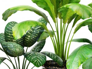 collection of plants in pots 3D-Modell