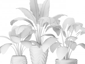 collection of plants in pots 3D-Modell