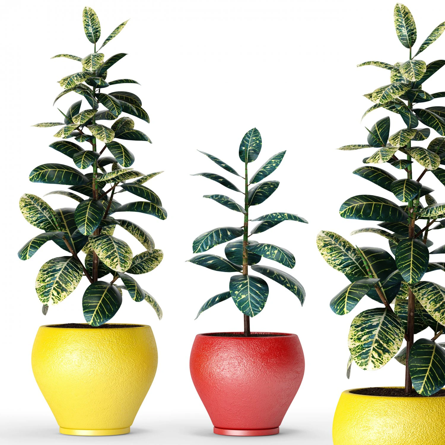 plants collection 3D Model .c4d .max .obj .3ds .fbx .stl .blend 