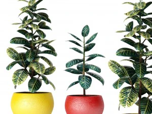 plants collection 3D Model