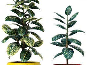 plants collection 3D Model