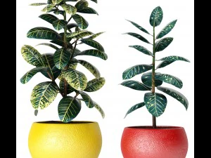 plants collection 3D Model