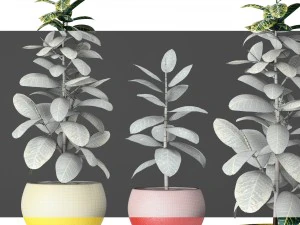 plants collection 3D Model