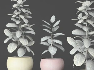 plants collection 3D Model