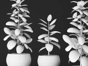 plants collection 3D Model
