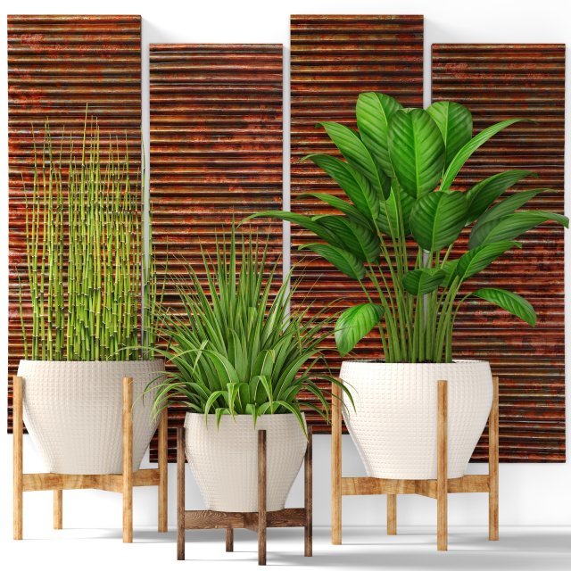 plants collection pot 3D Model .c4d .max .obj .3ds .fbx .stl .blend 