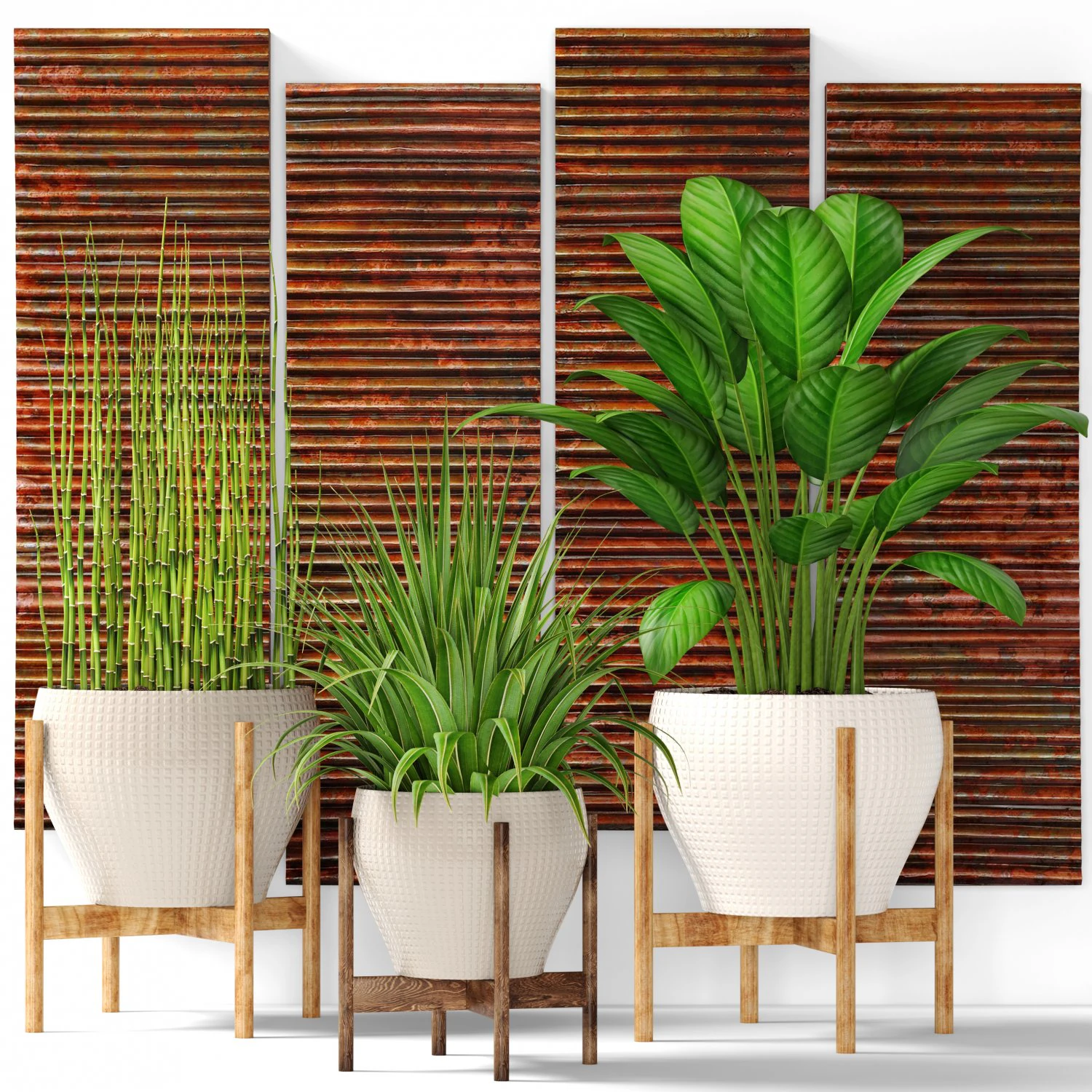 plants collection pot 3D Model .c4d .max .obj .3ds .fbx .stl .blend 