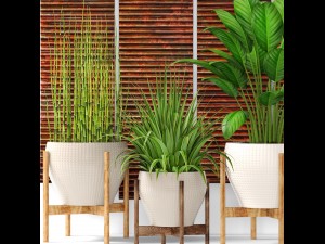 plants collection pot 3D Model