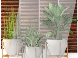 plants collection pot 3D Model