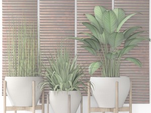 plants collection pot 3D Model