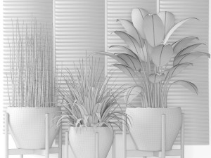 plants collection pot 3D Model