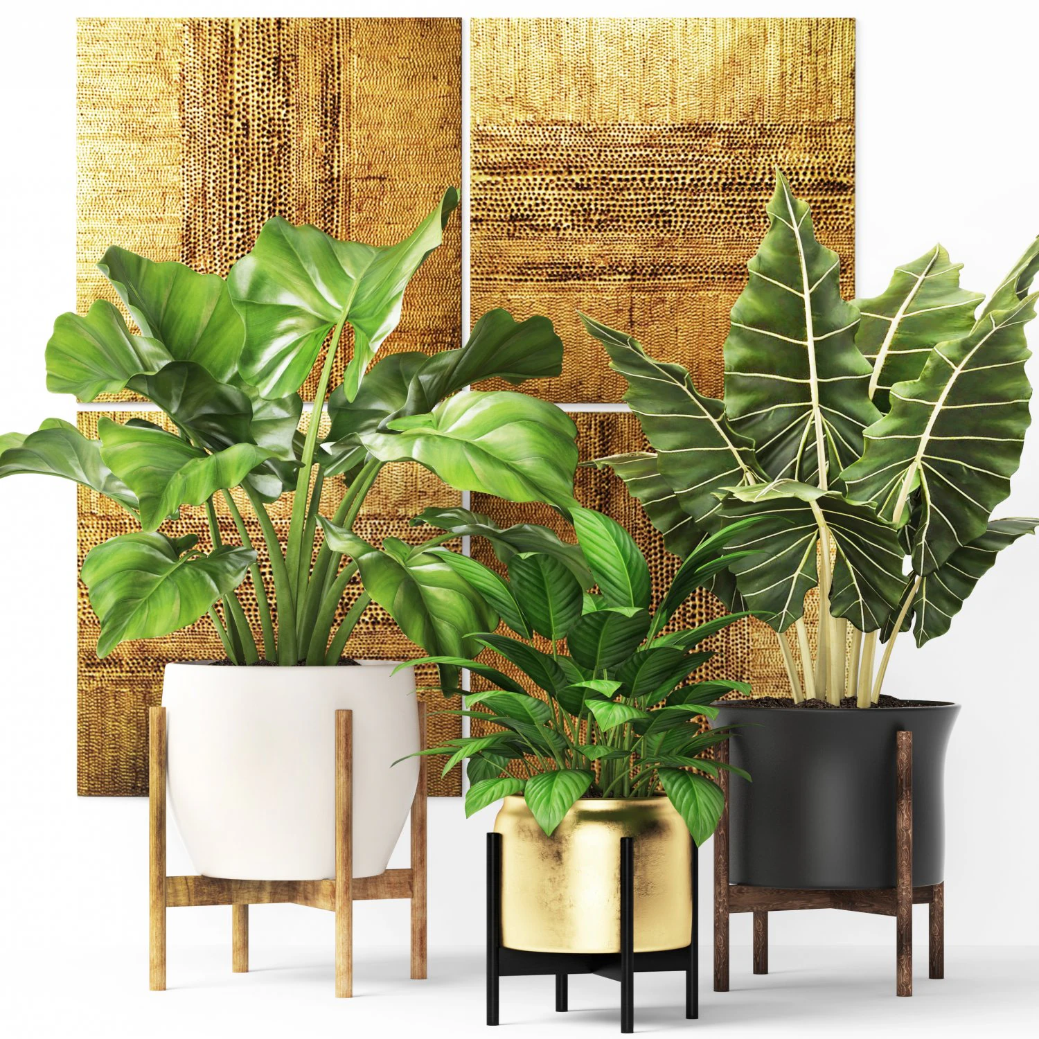 plants collection pot 3D Model .c4d .max .obj .3ds .fbx .stl .blend 