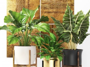 plants collection pot 3D Model