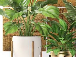 plants collection pot 3D 모델