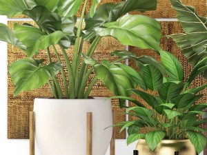plants collection pot 3D Model
