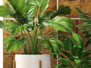 plants collection pot 3D Model