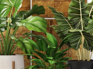 plants collection pot 3D 모델